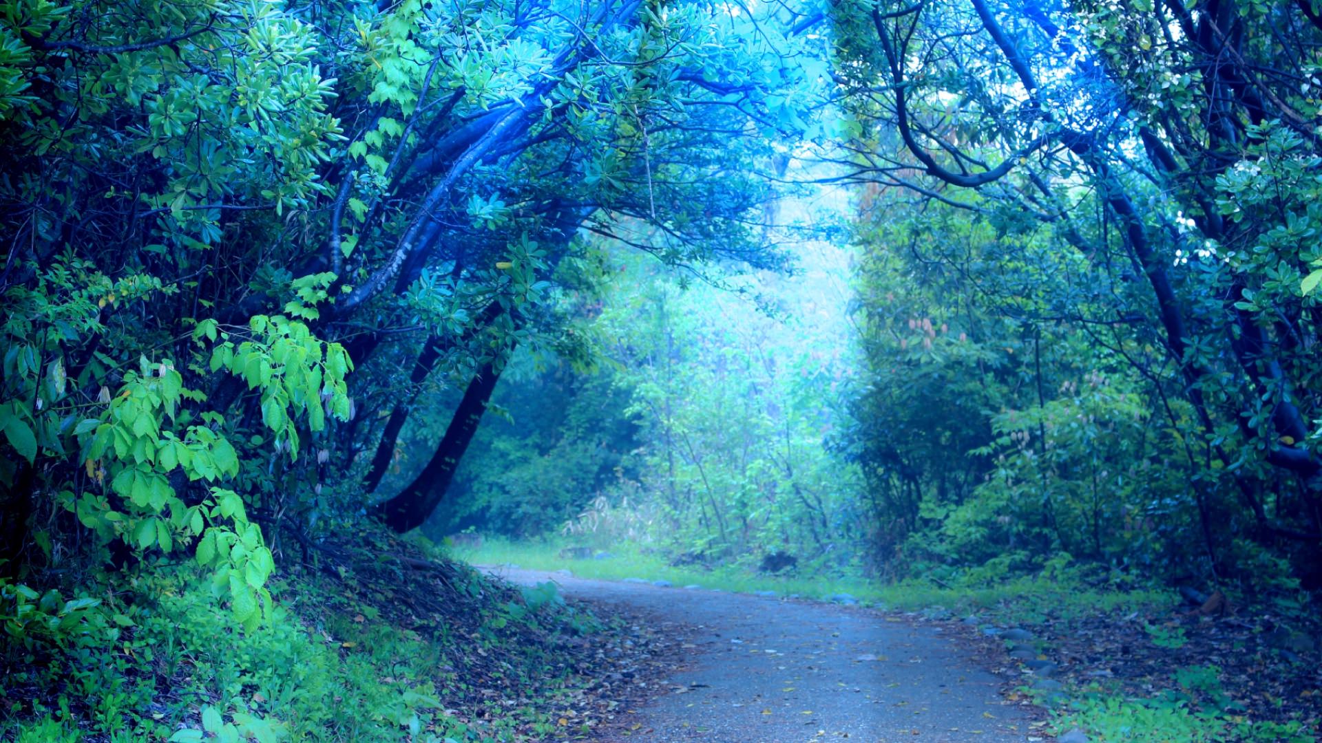 You are on your way in your own journey You are on your way in your own journey